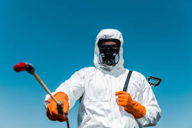 Emergency Pest Control in Loveland, CO